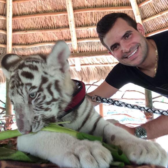 Meet your Posher, Remy - Picture 1 of 1